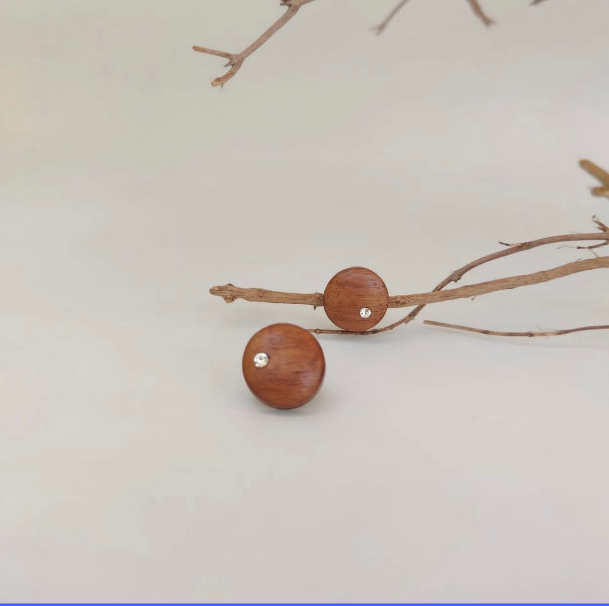 अन्तर्द्युति (Antardyuti) Earring